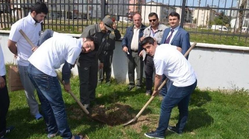 Fatsa&rsquo;da Kyk &Ouml;ğrencileri Fidan Dikti