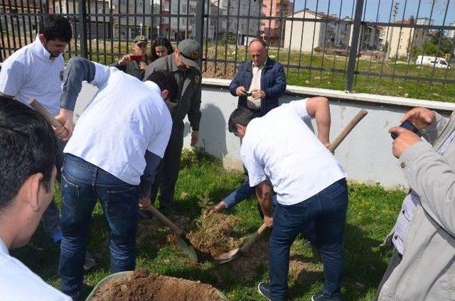 Fatsa’da Kyk Öğrencileri Fidan Dikti