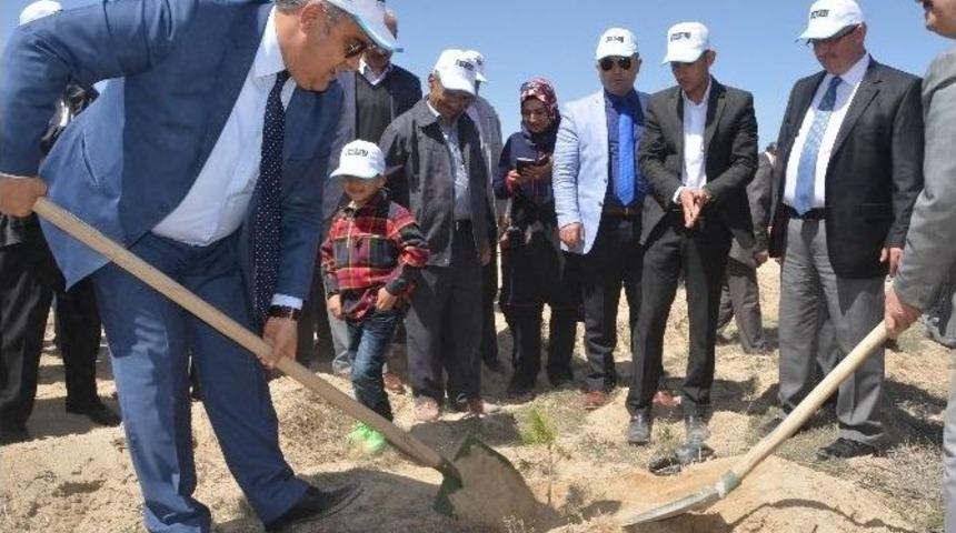 Ereğli&rsquo;de 6 Bin Fidan Toprakla Buluşturuldu