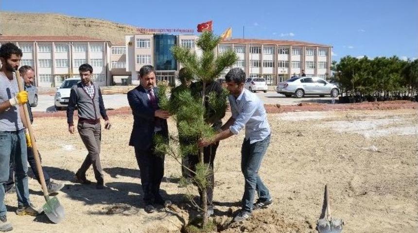 Okul &Ccedil;evresi Yeşilleniyor