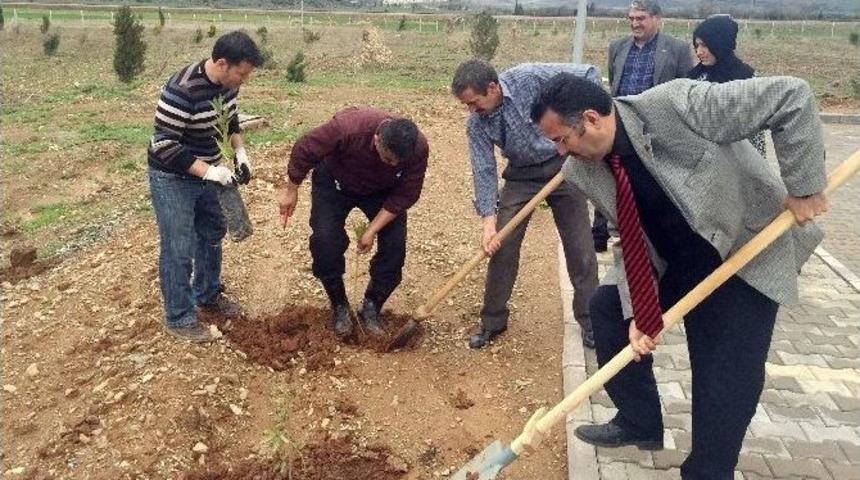 İslahiye Myo&rsquo;dan Fidan Dikme Etkinliği