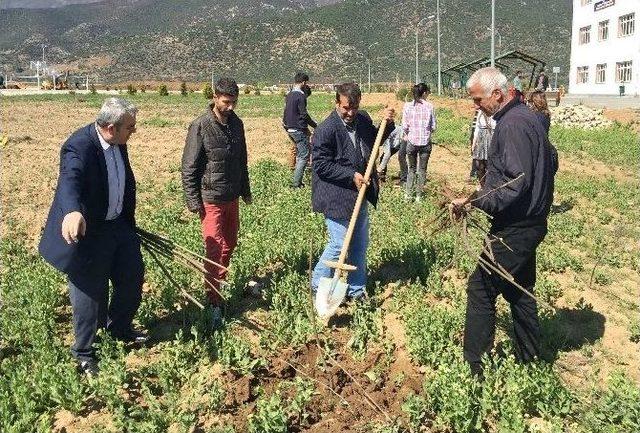 İslahiye Myo’dan Fidan Dikme Etkinliği