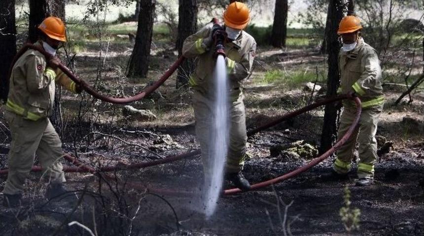 Yabancı Ormancılar, Ormanda &Ccedil;ıkan Yangını S&ouml;nd&uuml;rmek İ&ccedil;in Kıyasıya Uğraş Verdi