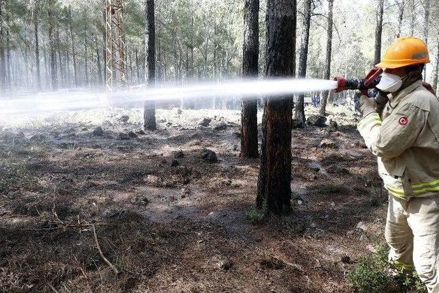 Yabancı Ormancılar, Ormanda Çıkan Yangını Söndürmek İçin Kıyasıya Uğraş Verdi