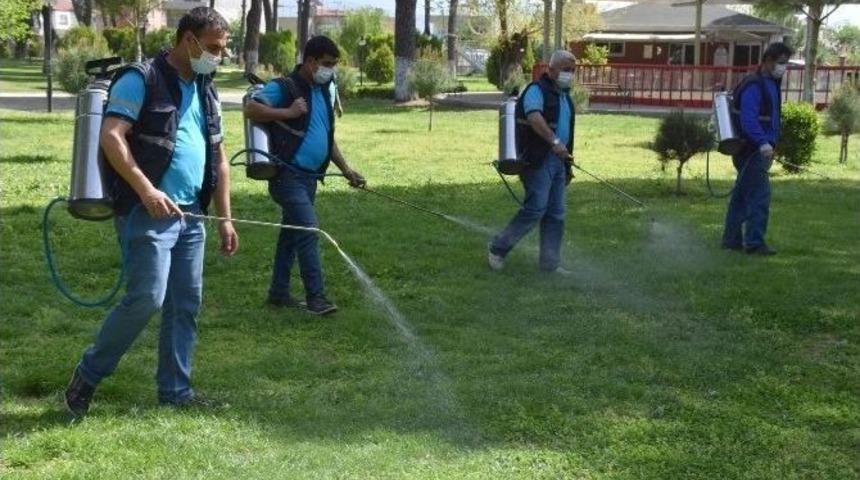 Nazilli&rsquo;de Haşereler İ&ccedil;in İla&ccedil;lama &Ccedil;alışmalarına Başlandı