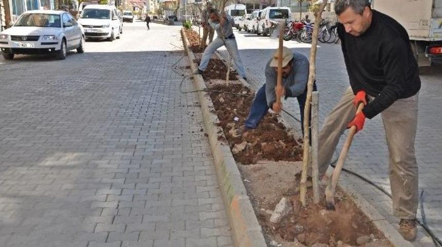 Ref&uuml;jler &Ccedil;apalanarak &Ccedil;i&ccedil;ek Dikimine Hazırlanıyor