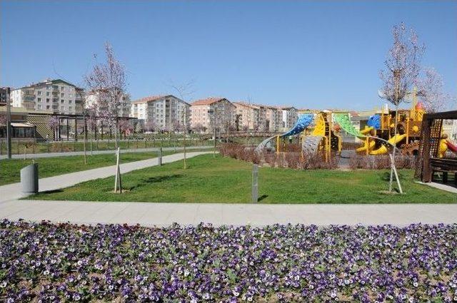 Kırşehir Belediyesi Park, Refüj Ve Şehir Merkezini Çiçeklerle Donattı