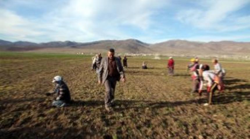 Seydişehir&rsquo;de 249 &Uuml;retici, Tarımsal Desteklerden Faydalanıyor