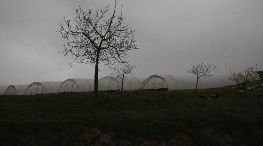 150 Yıllık Sıkıntı 1.5 Ayda &Ccedil;&ouml;z&uuml;ld&uuml;