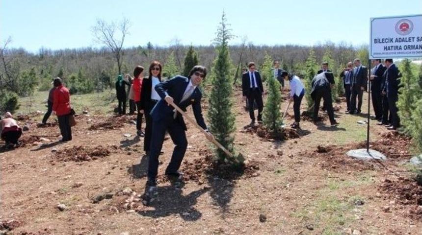 Bilecik Adalet Sarayı &Ccedil;alışanları Hatıra Ormanı Oluşturuldu