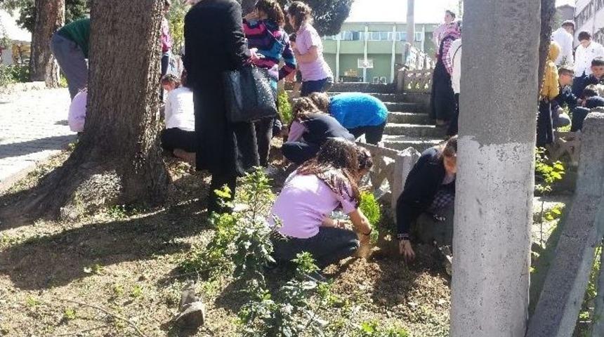 Devrekli &Ouml;ğrenciler Fidan Dikti