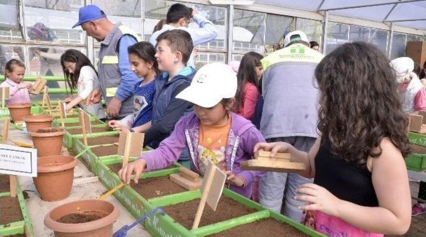 Tepebaşı&rsquo;nda Minik Eller Tohumlara Hayat Verdi