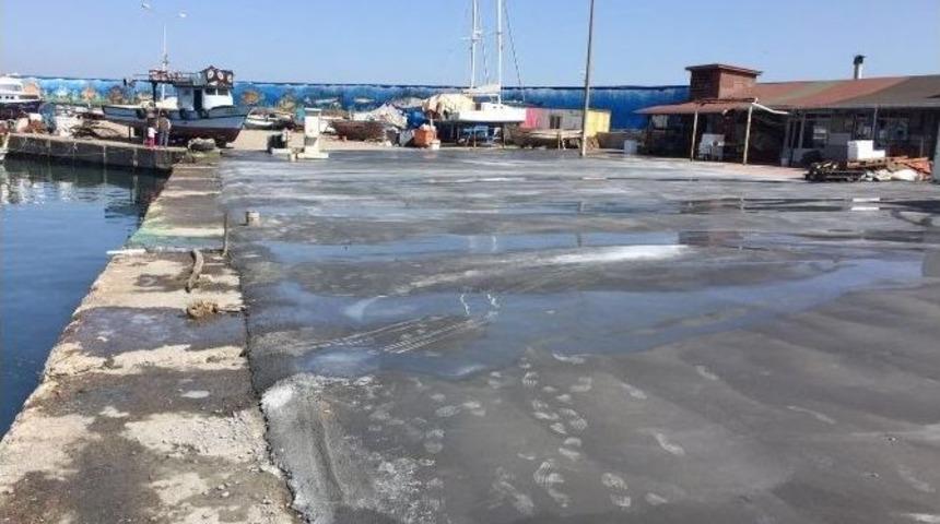 Ak&ccedil;akoca&rsquo;nın Balık&ccedil;ıları Limana Sahip &Ccedil;ıktı