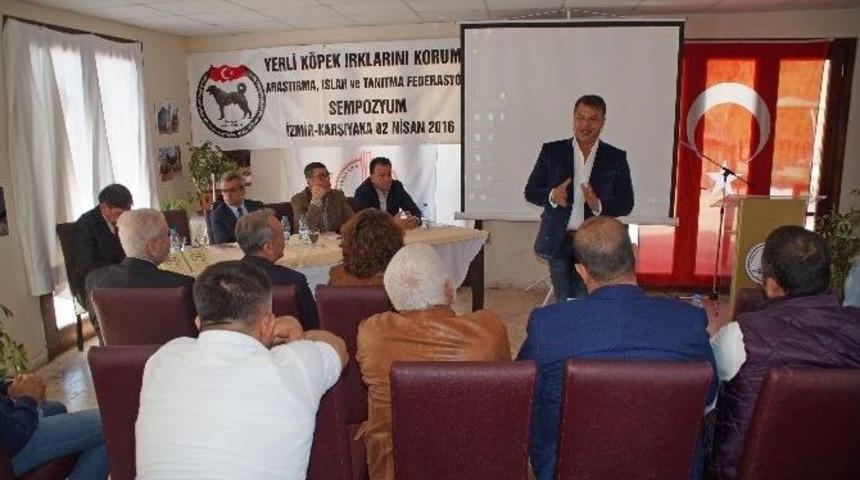 Karşıyaka&rsquo;da Yerli K&ouml;pek Irkları &Ccedil;alıştayı