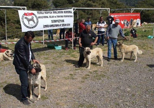 Karşıyaka’da Yerli Köpek Irkları Çalıştayı