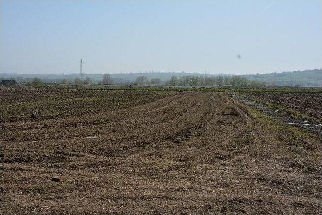 Mahalle Sakinleri Belediye İş Makinelerine Engel Oldu 2