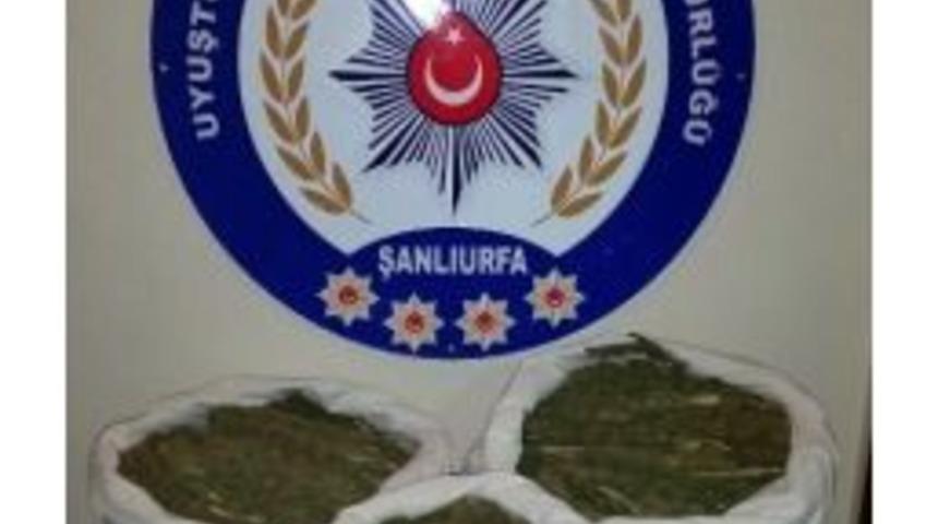 Şanlıurfa&rsquo;da 32 Kilo Esrar Ele Ge&ccedil;irildi