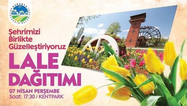 Büyükşehir Geleneksel Lale Dağıtımı Kent Park’ta Gerçekleştirilecek