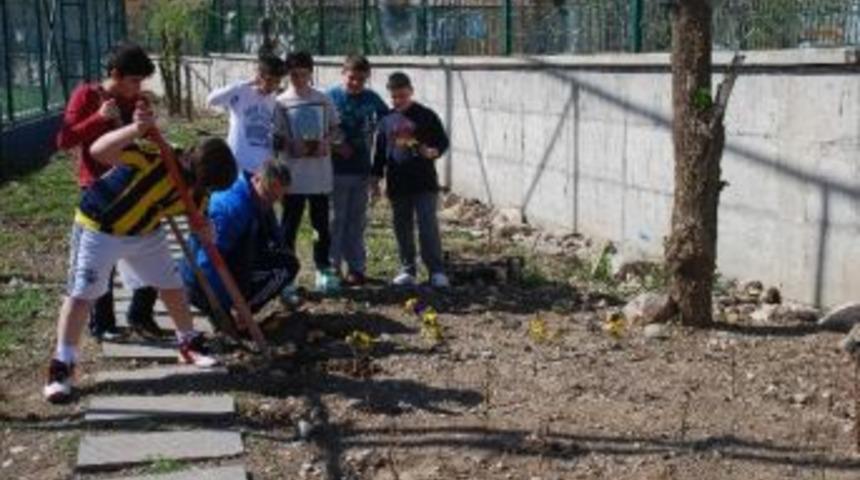 Ted&rsquo;li &Ouml;ğrenciler Fidan Dikti