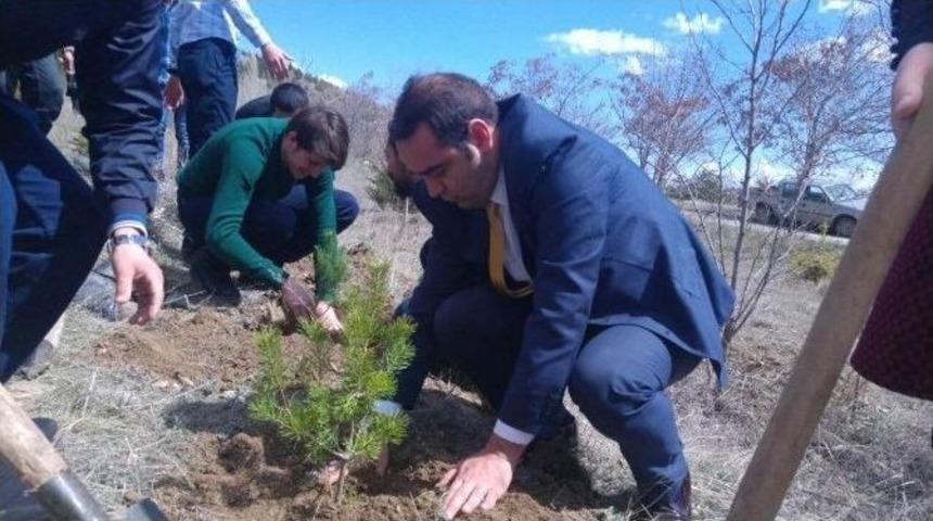 Ak Partili Gen&ccedil;ler Fidan Dikti