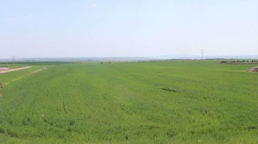 Adıyaman&rsquo;da Kuraklık Endişesi