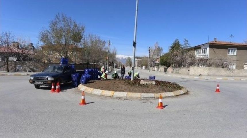 Erzincan&rsquo;da Bir Milyon &Ccedil;i&ccedil;ek Toprakla Buluşacak