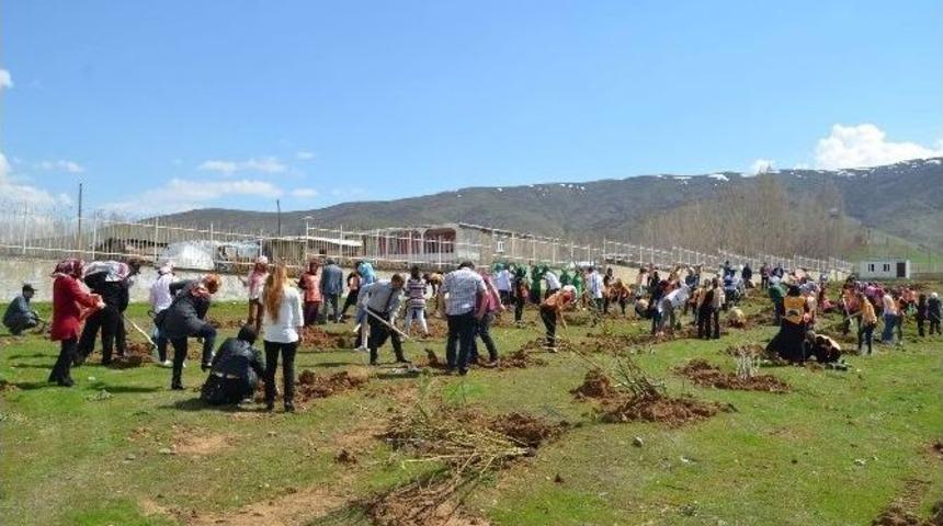 Muş&rsquo;ta Bin 200 Fidan Dikildi