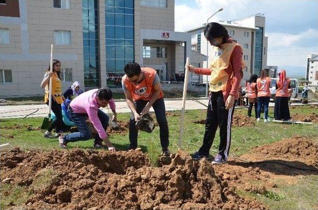 Muş’ta Bin 200 Fidan Dikildi