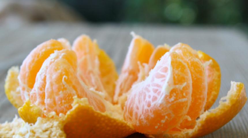 Sakın &ccedil;&ouml;pe atmayın, kabuğunda mucize var