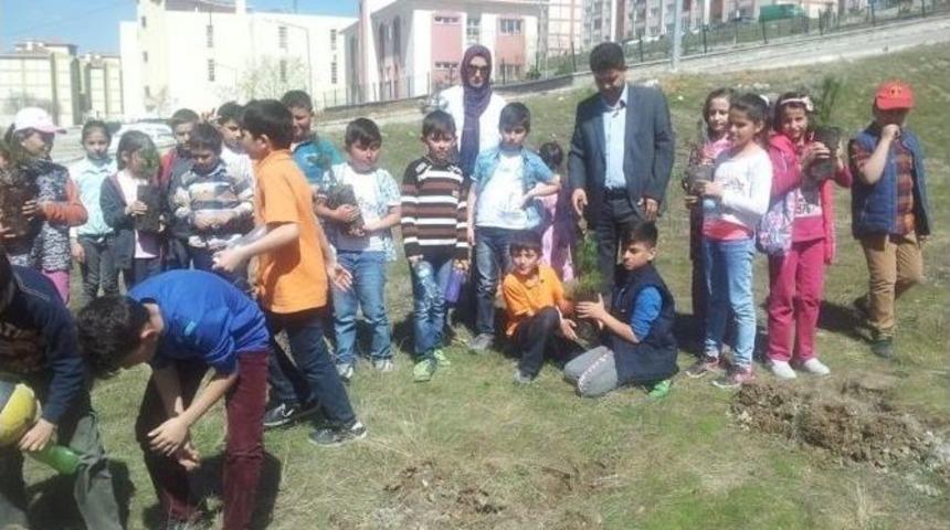 Yozgat Toki Ortaokulu &Ouml;ğrencileri Şehitler İ&ccedil;in Fidan Dikti