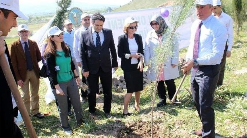 Aydın&rsquo;da Yenidoğan Her Bebeğin Artık Bir Fidanı Var