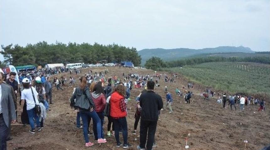 Bursa&rsquo;da Ge&ccedil;en Yaz K&uuml;l Olan 170 Hektar Alan Ağa&ccedil;landırıldı