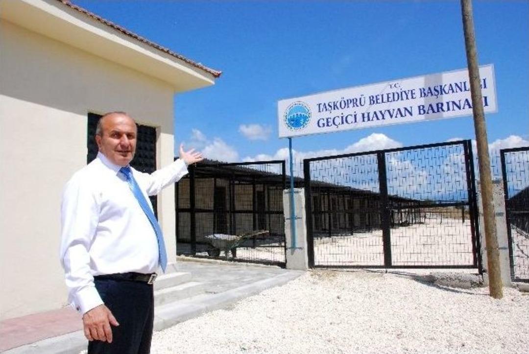 Pompeiopolis Antik Kendi Kastamonu&rsquo;nun Turizm Alanında Kurtuluşu Olacak