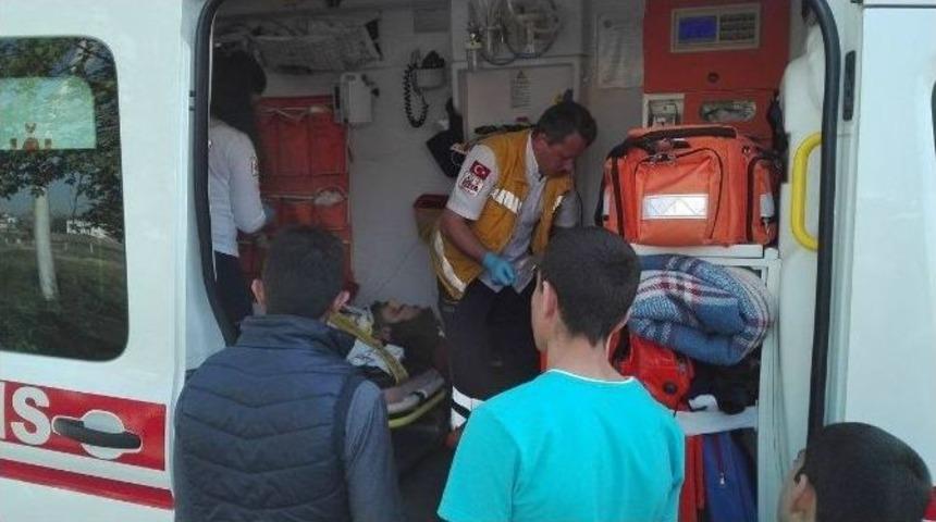 Direksiyon Hakimiyetini Kaybedince Ağaca &Ccedil;arptı: 1 Yaralı