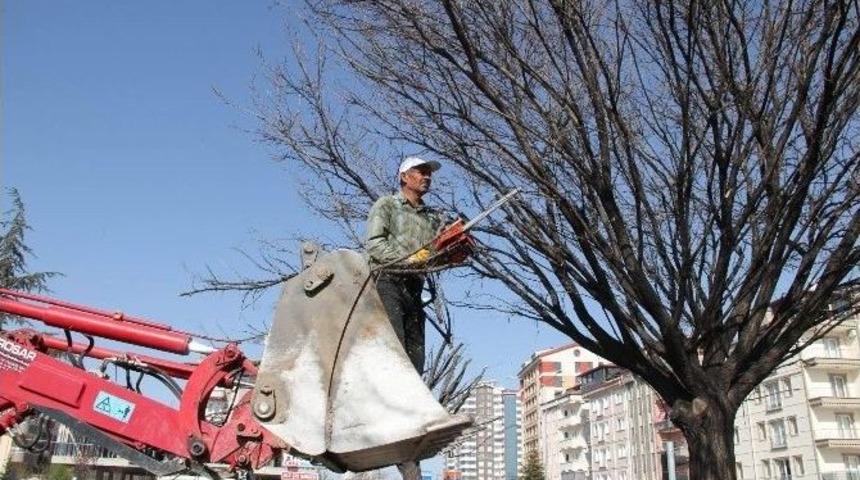 Pforzheim Parkında Yenileme &Ccedil;alışmaları Başladı