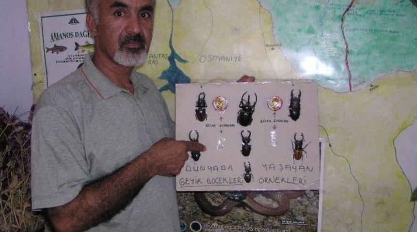 Akbez Geyik B&ouml;ceği Belgesel Oldu