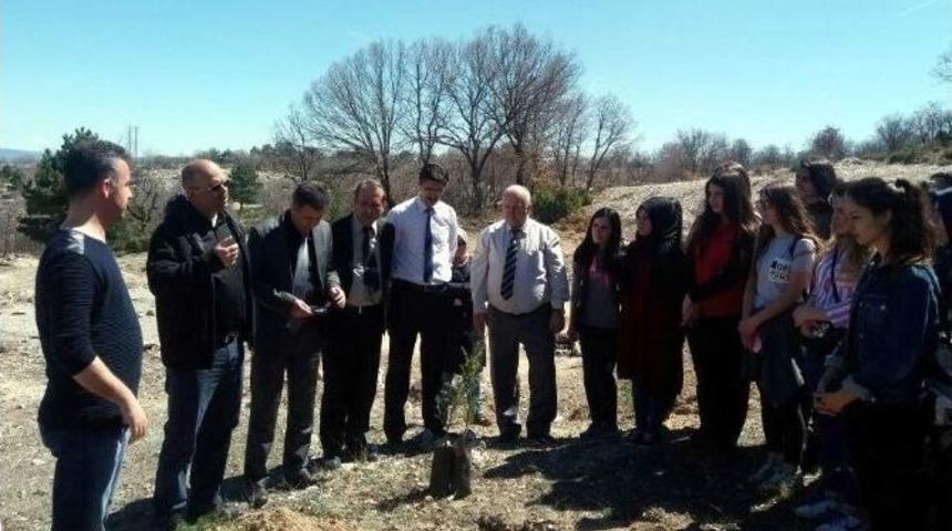 Kyk K&uuml;tahya İl M&uuml;d&uuml;rl&uuml;ğ&uuml; Hatıra Ormanı Oluşturdu