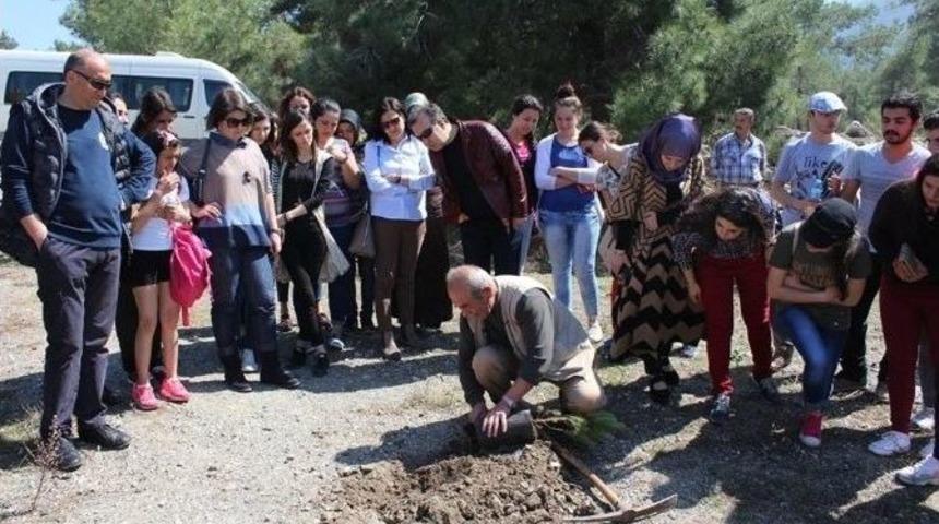 Pa&uuml; Honaz Myo&rsquo;dan Ağa&ccedil; Dikme Etkinliği