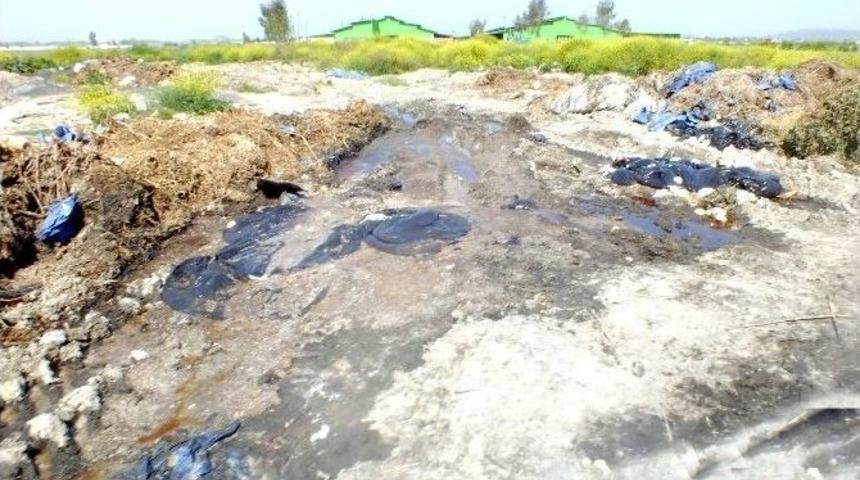 Besi &Ccedil;iftliğinin Dereyi Kirlettiği İddiası