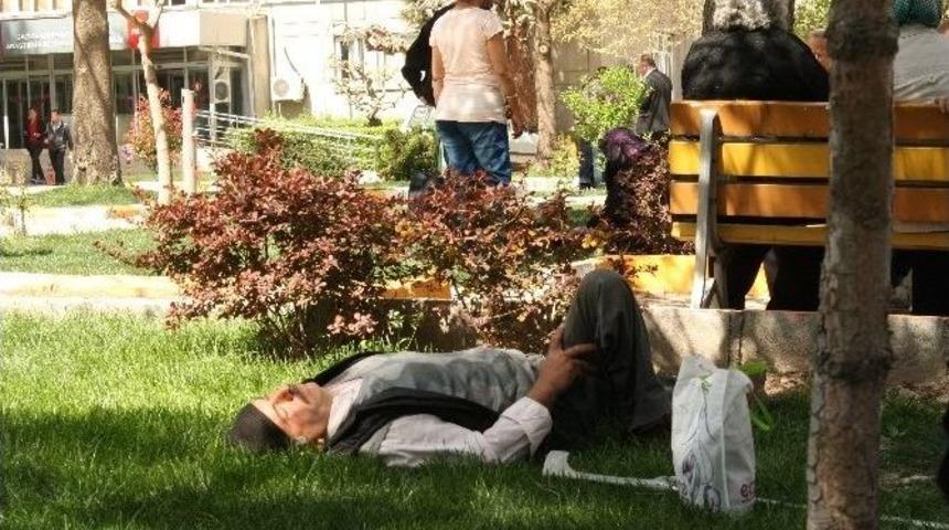 Hastane Bah&ccedil;esinde Şekerleme Yaptılar