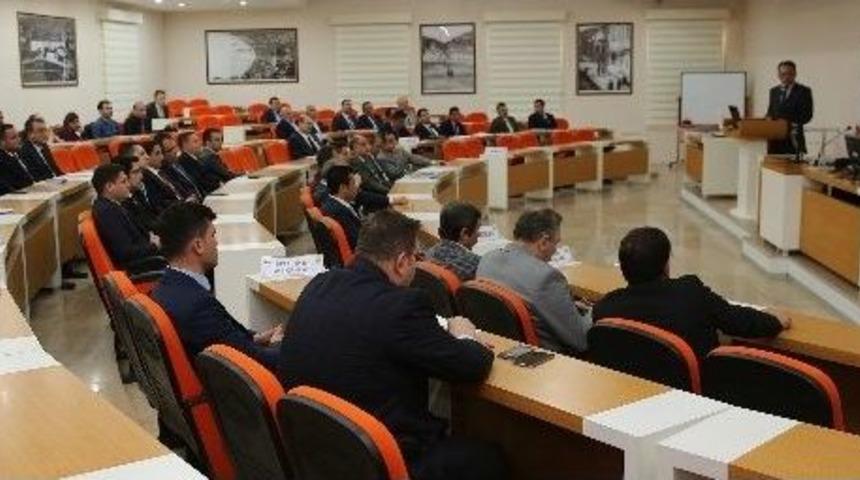 Ordu&rsquo;da Ceviz Ormanları Kuruluyor