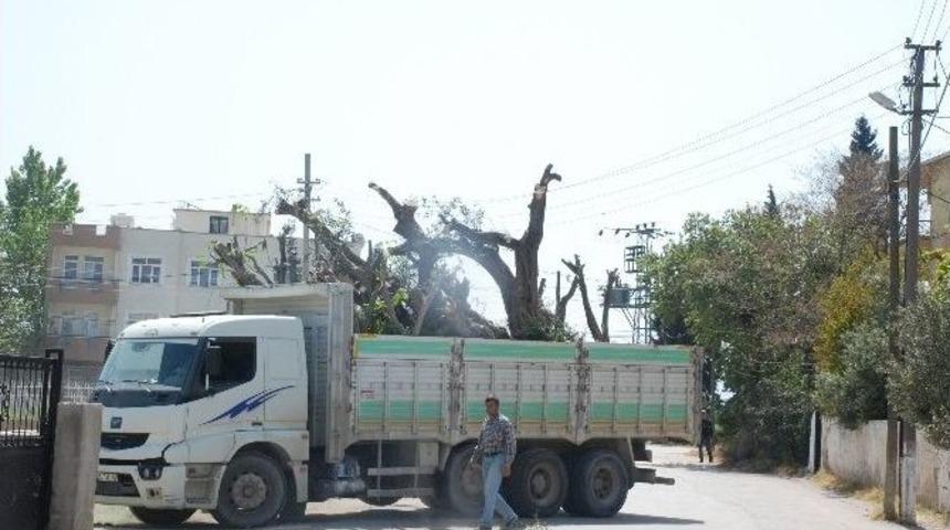 Elektrik Tellerini Kopartan Kamyon Mahalleyi Elektriksiz Bıraktı