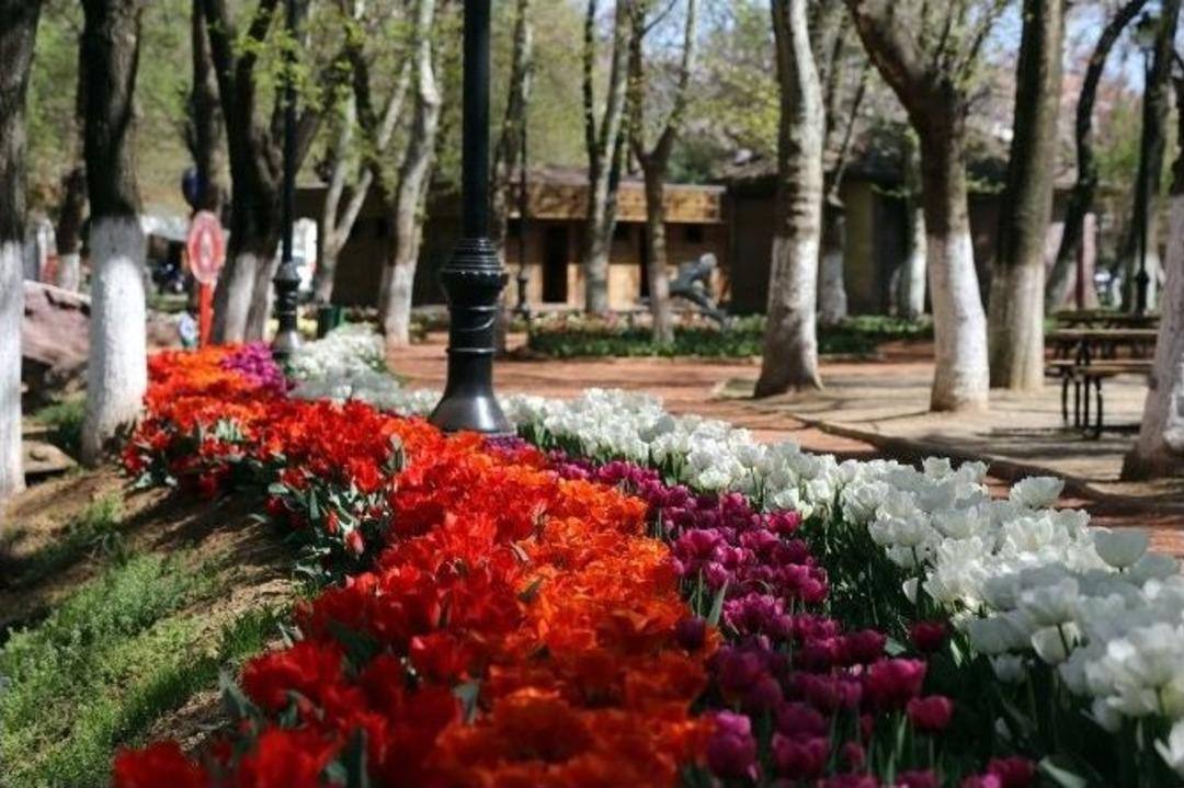Gaziantep Baharda Bir Başka G&uuml;zel