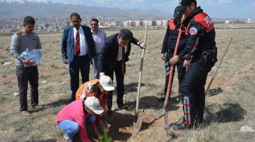 Polisler Fidan Dikti