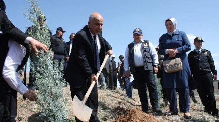 Aksaray&rsquo;da Her Şehit İ&ccedil;in 10 Fidan Dikildi