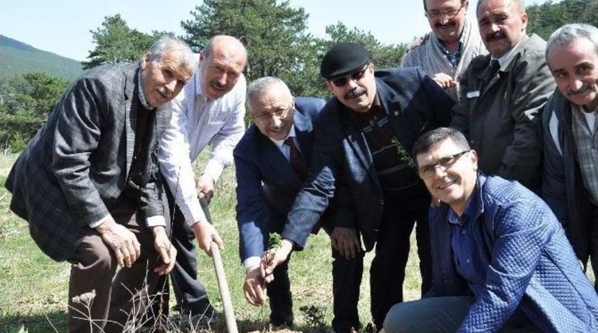 Yaban Hayatına İtso&rsquo;dan Destek