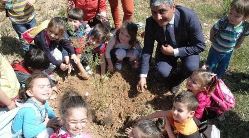 Minikler Polislerle Beraber Ağa&ccedil; Dikti