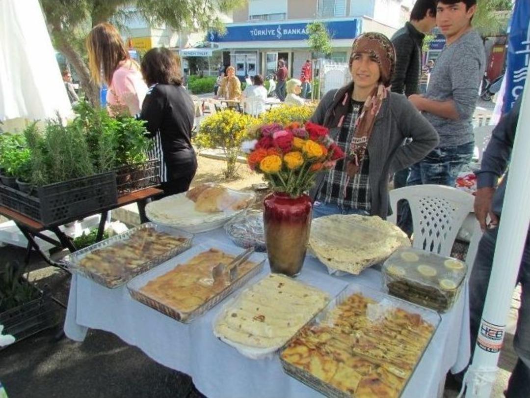Ala&ccedil;atı Ot Festivali Başladı