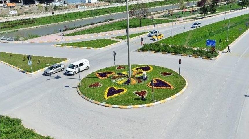 Tokat 150 Bin &Ccedil;eşit &Ccedil;i&ccedil;ekle Donatıldı