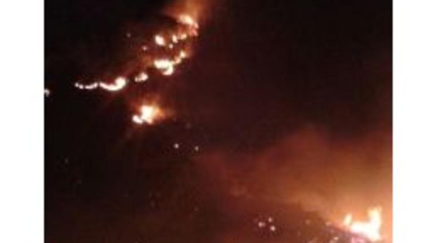 Cide’de Korkutan Orman Yangını